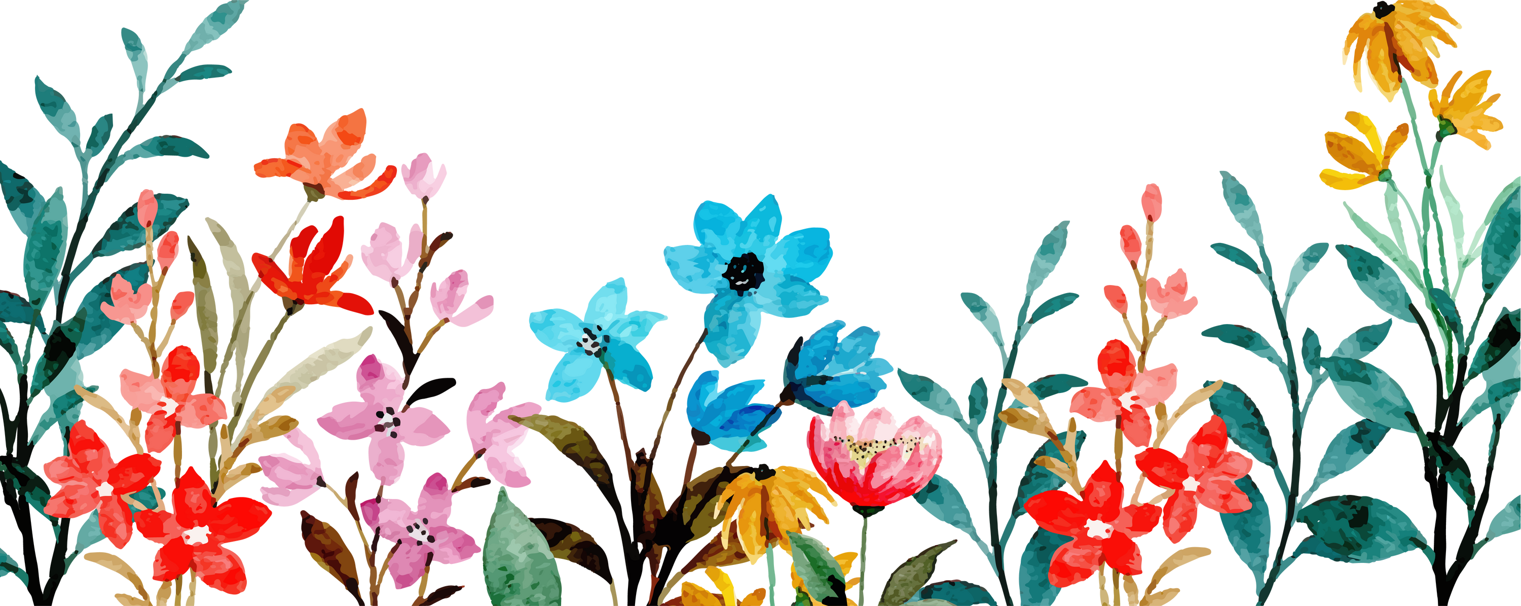 Watercolor flower border